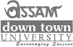 Assam Down Town University