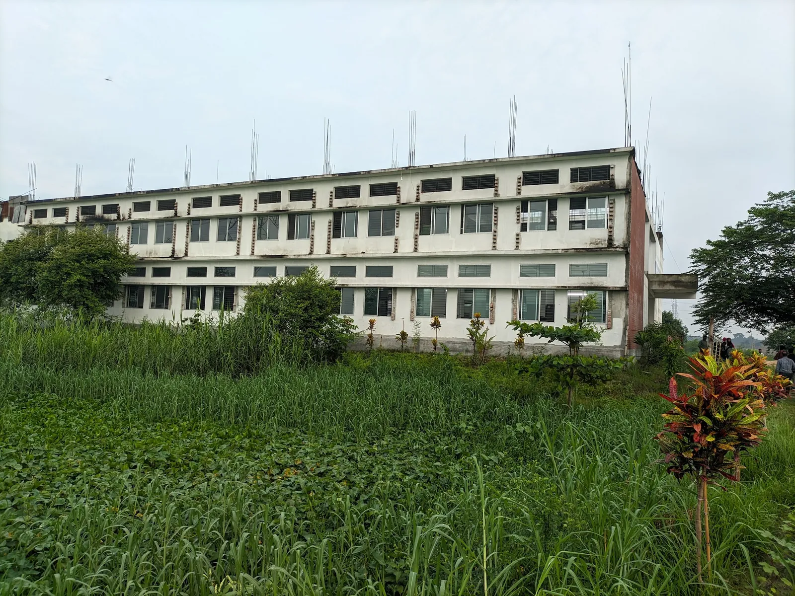 Campus building